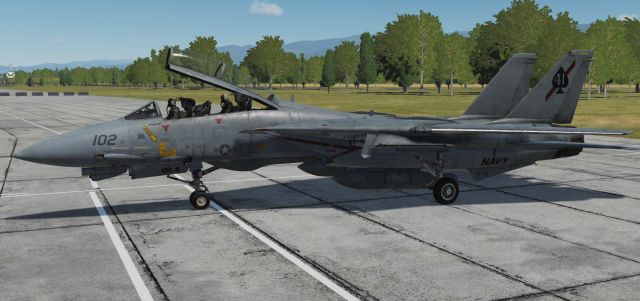 vf-41 tomcat skin.jpg
